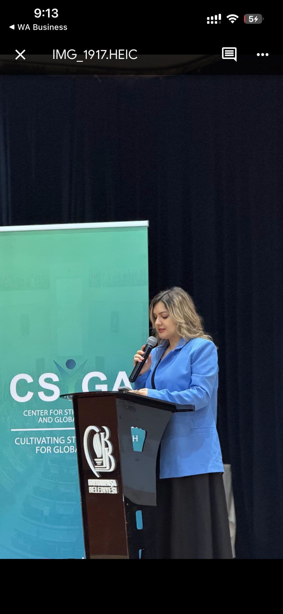 Delegates in conference hall